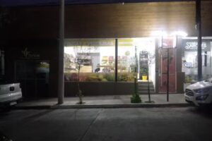 Verduleria Crazy Lemon