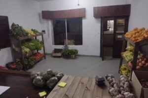 VERDULER&Iacute;A DARINATI