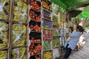 Verduler&iacute;a Darwin