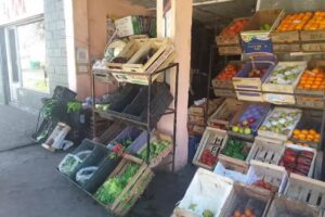 Verduler&iacute;a De Jos&eacute;