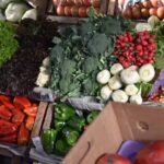 Verduler&iacute;a Delia