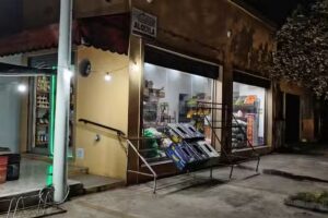 Verduler&iacute;a despensa &ldquo;AL PASO&rdquo;