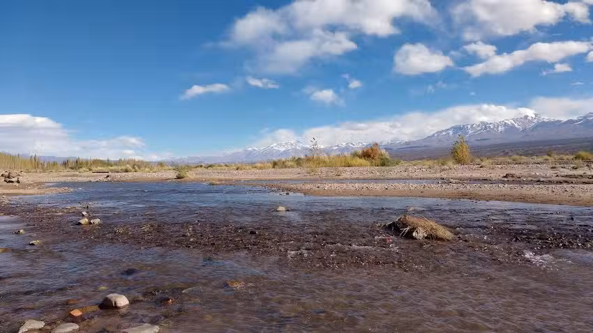 Verduler&iacute;a Despensa Brisa