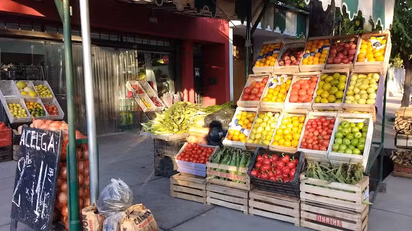 Verduler&iacute;a Didier