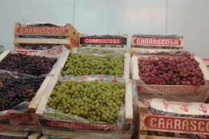 Verdulería “Don Pepe”