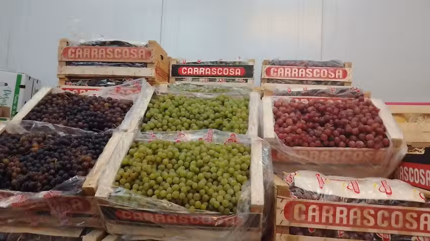 Verduler&iacute;a &ldquo;Don Pepe&rdquo;