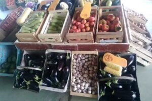 VERDULERIA DON ROMAN (produccion Propia)