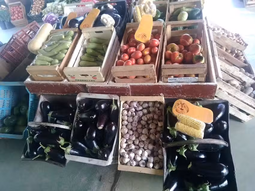 VERDULERIA DON ROMAN (produccion Propia)