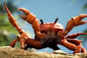 verduleria do&ntilde;a pepa