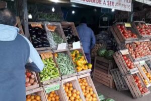 Verduler&iacute;a Do&ntilde;a Rosa /Paito