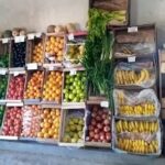 Verduler&iacute;a ebenezer