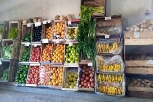 Verduler&iacute;a ebenezer