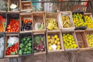 VerdulerIa EL ABUELO