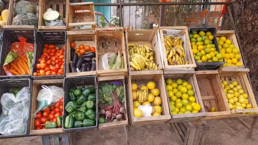 VerdulerIa EL ABUELO