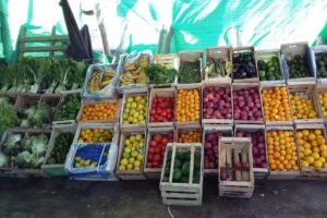 Verduler&iacute;a EL ALE