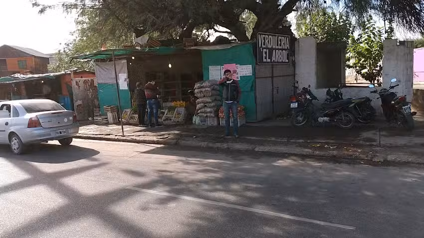 Verduler&iacute;a El &aacute;rbol
