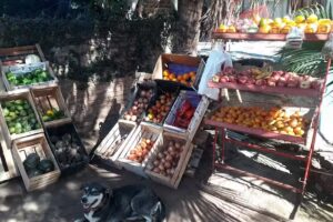 Verduleria &ldquo;EL BARTO&rdquo;