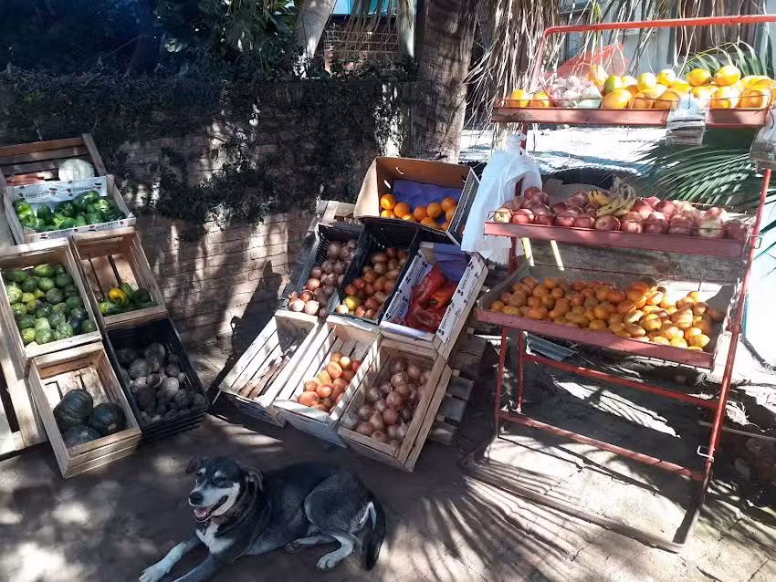 Verduleria &ldquo;EL BARTO&rdquo;