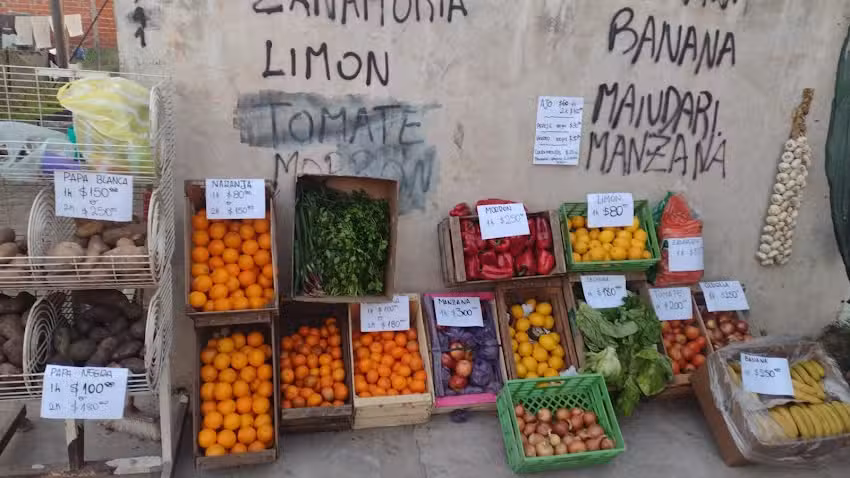 Verduler&iacute;a el FILOSO