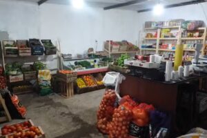 Verduler&iacute;a el galp&oacute;n