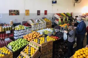 Verduler&iacute;a EL GALP&Oacute;N