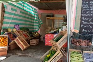 Verduleria EL GARAGE