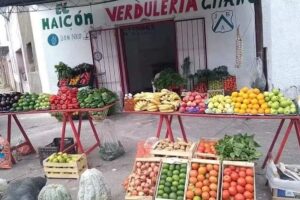 VERDULER&Iacute;A EL GITANO