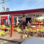 VERDULER&Iacute;A EL GITANO