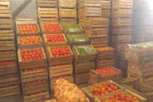 Verduleria El Gringo