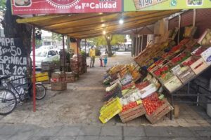 Verduler&iacute;a &ldquo;El Palacio de la Fruta&rdquo;