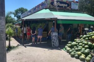 Verduler&iacute;a EL PAMPA