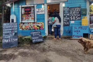 Verduler&iacute;a El Pelu