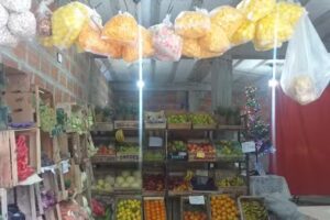 verduleria &ndash; &rdquo; el pinazo&rdquo;