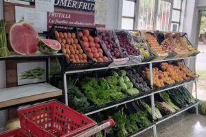 Verduler&iacute;a el Romy