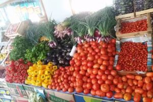 Verduler&iacute;a El Toto Est&aacute; Loco