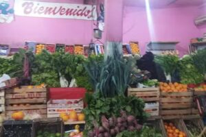 verduleria el vasquito