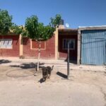 Verduler&iacute;a Elena