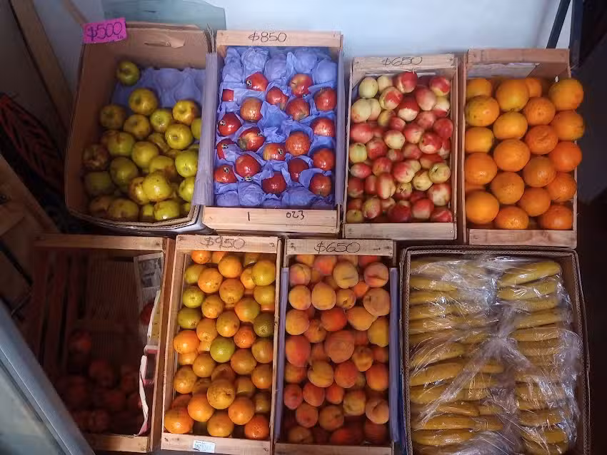 verduler&iacute;a ELYAV