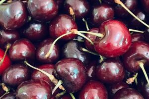 Verduler&iacute;a ERNESTO