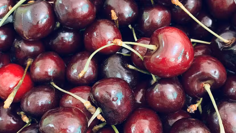 Verduler&iacute;a ERNESTO