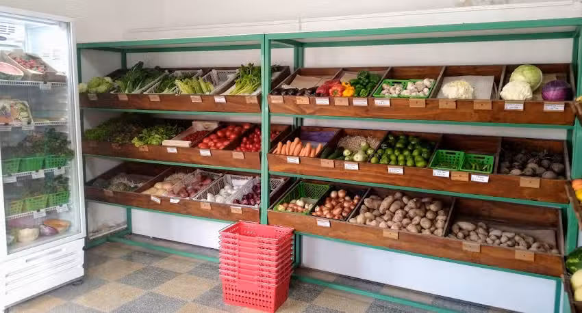 Verduler&iacute;a &ldquo;Estaci&oacute;n Vegetal&rdquo;