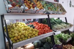 Verduler&iacute;a Frijolito