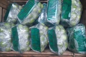 Verduler&iacute;a Fruter&iacute;a Carnicer&iacute;a Donato