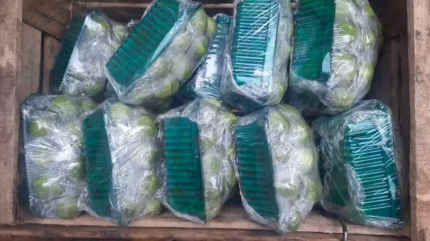 Verduler&iacute;a Fruter&iacute;a Carnicer&iacute;a Donato