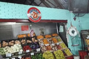 Verdulería Frutería El 22