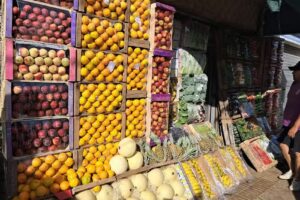 VERDULERIA FRUTERIA GyL