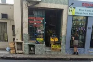 Verduler&iacute;a Fruter&iacute;a &ldquo;Mily&rdquo;