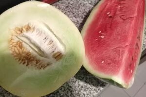 Verduler&iacute;a & Fruter&iacute;a &ldquo;Olmos&rdquo;