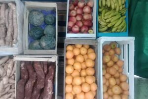 Verdulería, frutería y más ven y ve