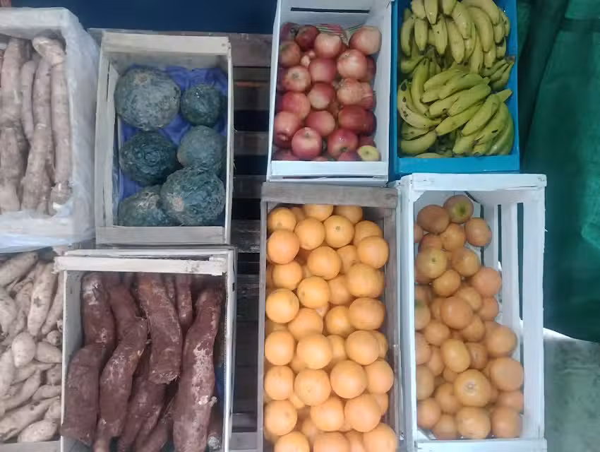 Verduler&iacute;a, fruter&iacute;a y m&aacute;s ven y ve